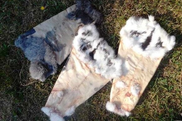 a0863f38-f917-43cd-bc76-79d53dee8f88