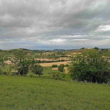 Monte Pirano visto da S. Rocco Monte Pirano visto da S. Rocco