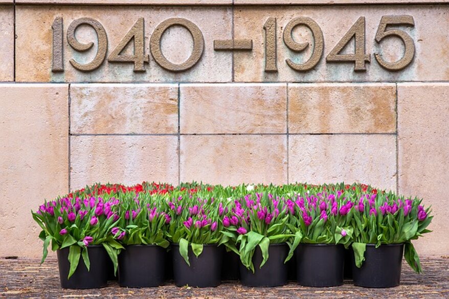 d9c57bda-b3bc-4a5f-a2da-ccd6ae2b8563