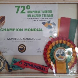 Il 1° premio nel Campionato Mondiale Il 1° premio nel Campionato Mondiale