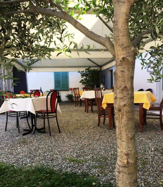 06833117-fc87-4204-86dc-d496e612dfe0