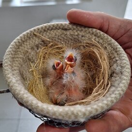 Dei futuri campioni? Dei futuri campioni?