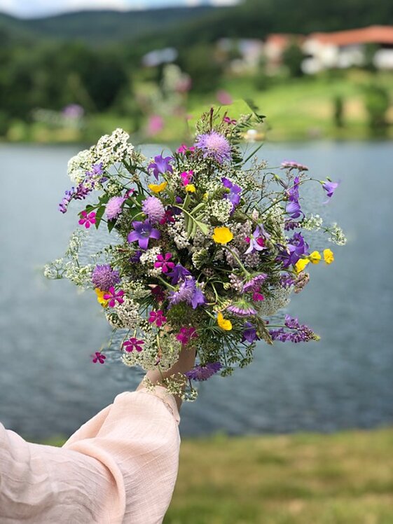 3974ed8c-4c7d-4c65-9415-952f09158d1f