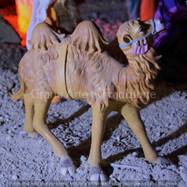 Un cammello in resina