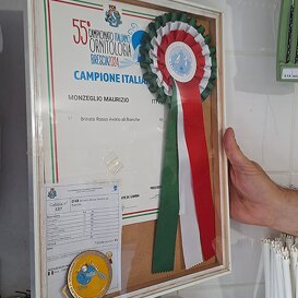 Il titolo di Campione italiano Il titolo di Campione italiano