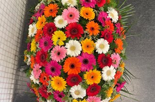 whatsapp%20image%202026-01-26%20at%2019.32.03%20(11).jpeg