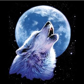 45bbf1d9-c1ad-4892-a110-36781028dc9f