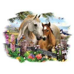 ef4762f6-51f4-4de1-8267-1d7bef8aa71c