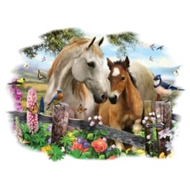 ef4762f6-51f4-4de1-8267-1d7bef8aa71c