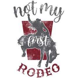 2fe7fe98-0b16-4b8c-b02c-09b142274bad