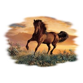 4530486b-935e-491f-96f9-51fb0135893f