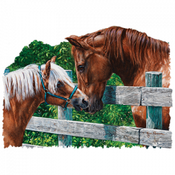 123a68f2-a0dd-4302-a82e-bb2d7b32a5a1