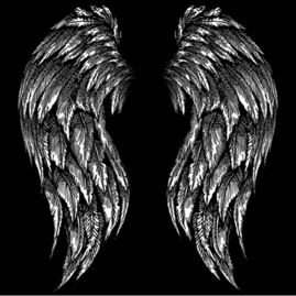 81dd6f88-75c3-4a06-86b0-05d4887a296d