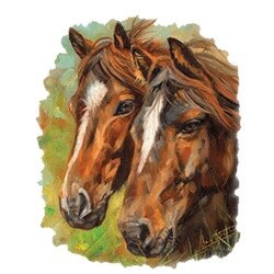 50937812-ab4c-4502-ac8e-ff726302a2fd