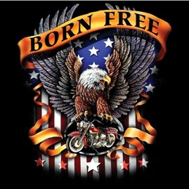 ebc2e1e9-27d1-488f-9606-dcfc0b6edec6