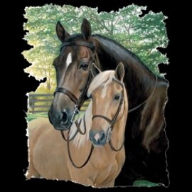 da22ba3a-51ac-4c8b-8ba6-11212693a2b9