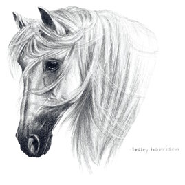 ec5e55d1-6171-4748-9236-d5f36da73c3a