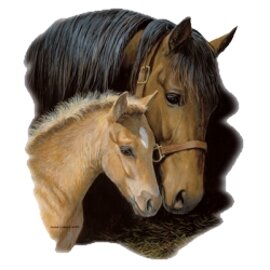 713aa981-e78e-4319-ac37-1b1ad3e3b7fc