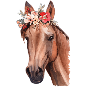 4a667854-d12c-40ea-8abc-acf85a8d94ce