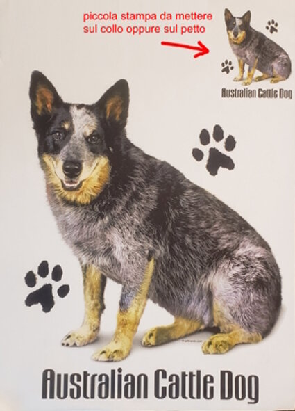 03fee266-364f-4c52-aecf-d0962f5f852d