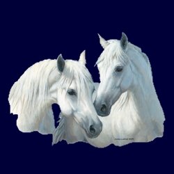 d2372be8-7c18-49b9-b379-83a99db90836