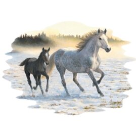 300910d8-be52-4800-b6de-4b69452c51a4