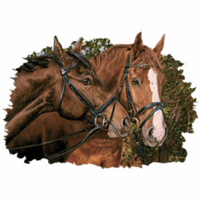 a78369ef-373d-4676-a796-397a78ebd5d7