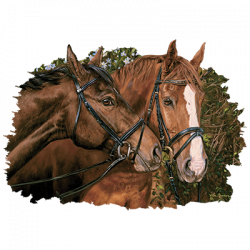 a78369ef-373d-4676-a796-397a78ebd5d7