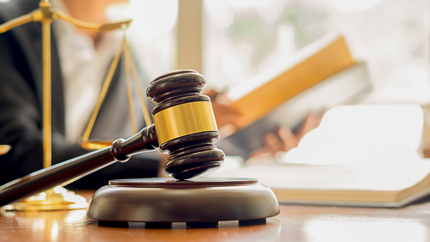 31485e11-0328-4f2f-8887-24eef778a5d6