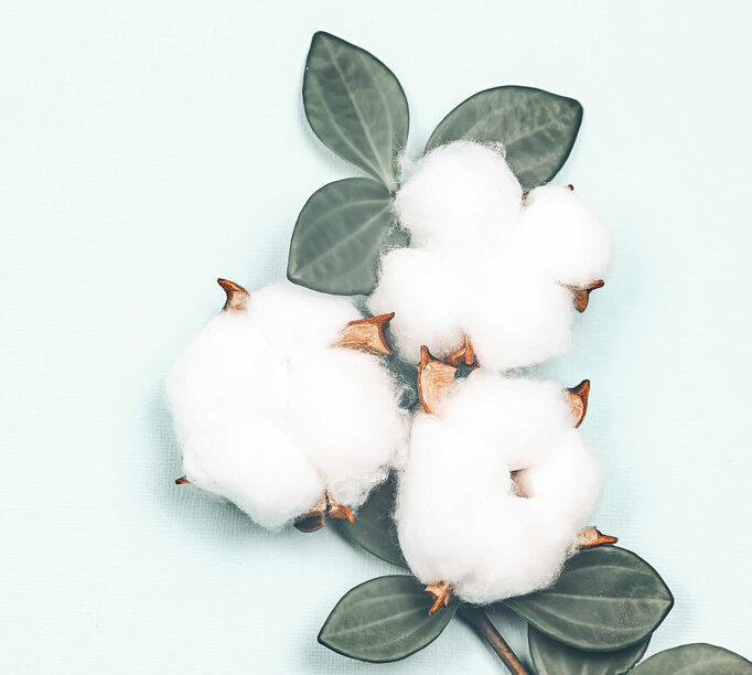 a3ca36e0-23ba-4bf4-a9fb-a414e07937d4 a3ca36e0-23ba-4bf4-a9fb-a414e07937d4