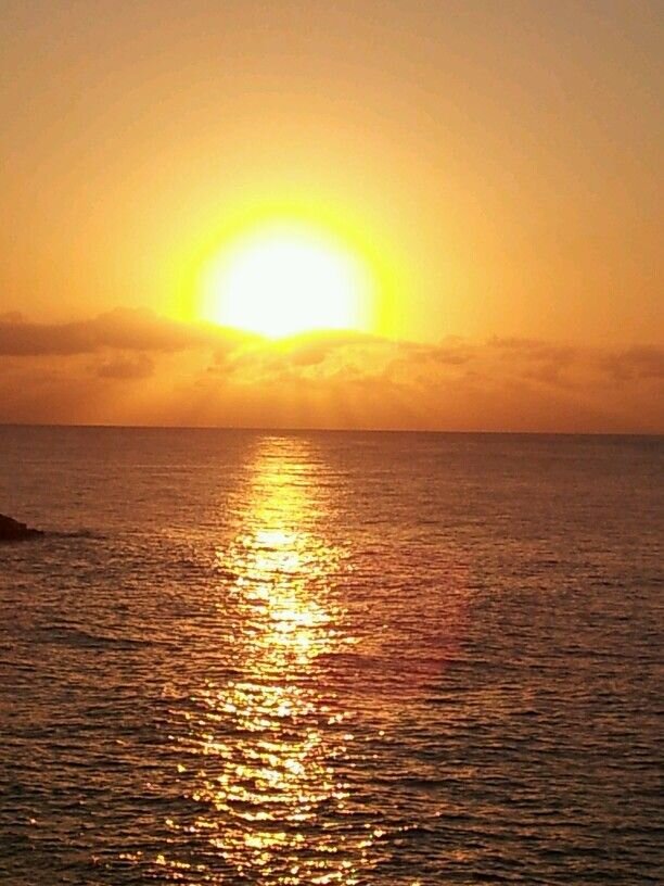 dfa5ed51-3b5d-4e86-b236-a2da62c46065 dfa5ed51-3b5d-4e86-b236-a2da62c46065