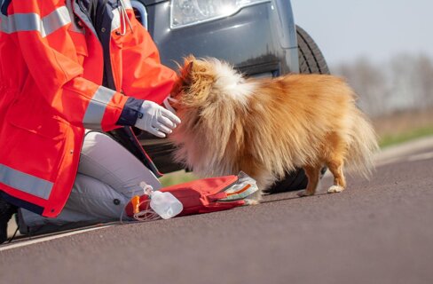 7e6caecf-1395-414b-9f65-fcb59e21991f