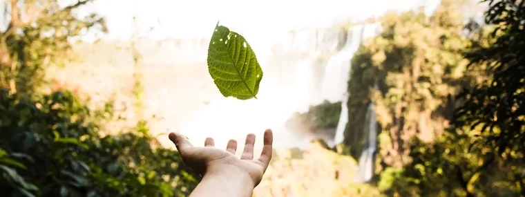 b2b17e37-1102-4ffb-9bad-b3e73a0fce71