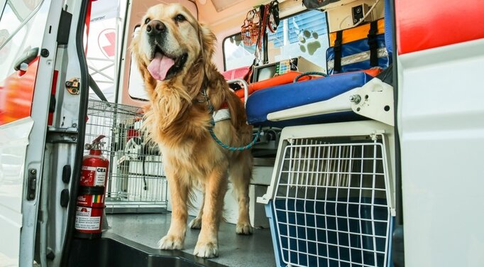 af850bf2-9cb9-4163-b163-81ffc1dcbaf2