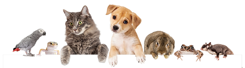 946d8e5e-55da-498e-9ba1-eb77552499ef