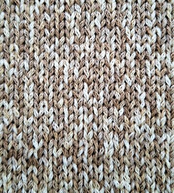 flavia telo.jpeg flavia telo.jpeg