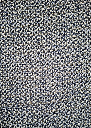 frida telo.jpeg frida telo.jpeg