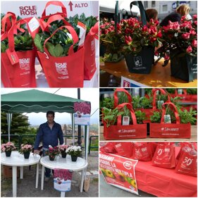 6f92d190-745d-4c1c-bdce-33bcb885f033 6f92d190-745d-4c1c-bdce-33bcb885f033