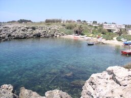 4c3bc6e2-c6c4-41d8-95f4-4c10d157bcc8