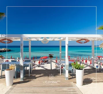 507adc39-751a-4d00-9a7c-016d2a1803cd