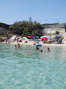 bda7dbcc-c7f2-4dbc-9819-49a720b2a0d7