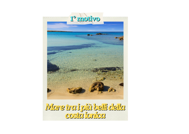 giallo blu e bianco moderno reclutamento buono regalo (10)