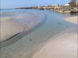 41260977-01f8-4c26-97b0-527db1f34256