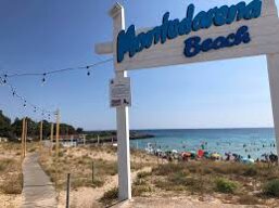 9d295162-6068-4192-bb42-be36e9095006