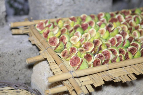 622224fa-37a0-47d8-a627-7c50ecda2342