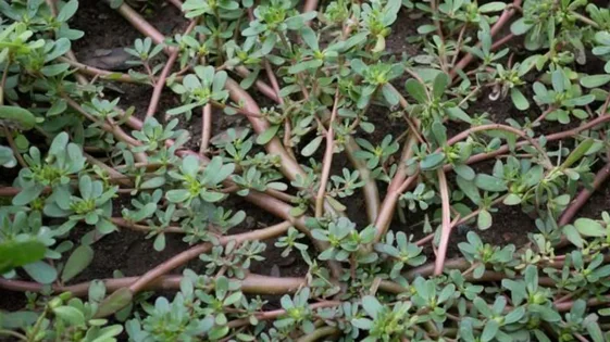 eb1b68fc-71ce-425d-8ac0-fcde990cd39f