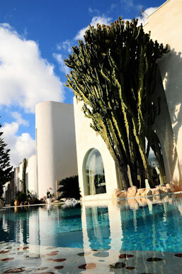 86b42ae1-dcd9-42d0-87a9-cb38ceac6c44