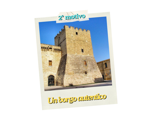 giallo blu e bianco moderno reclutamento buono regalo (11)