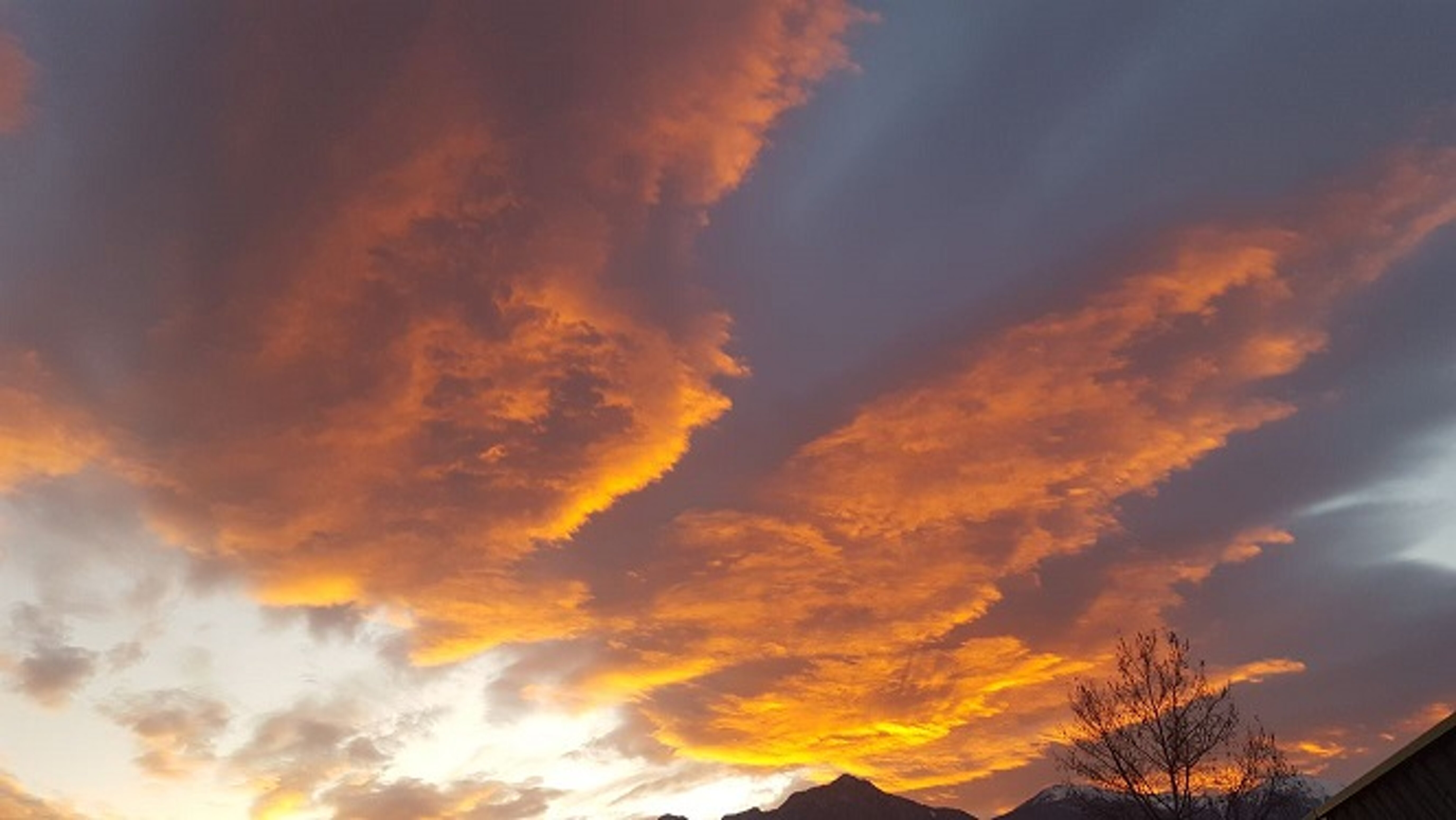 b1c99d8f-295a-46ba-a80d-346e1b2578ce