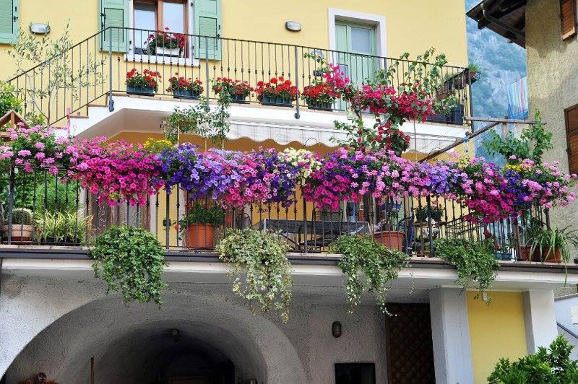 3 EDIZIONE CONCORSO 3 EDIZIONE CONCORSO